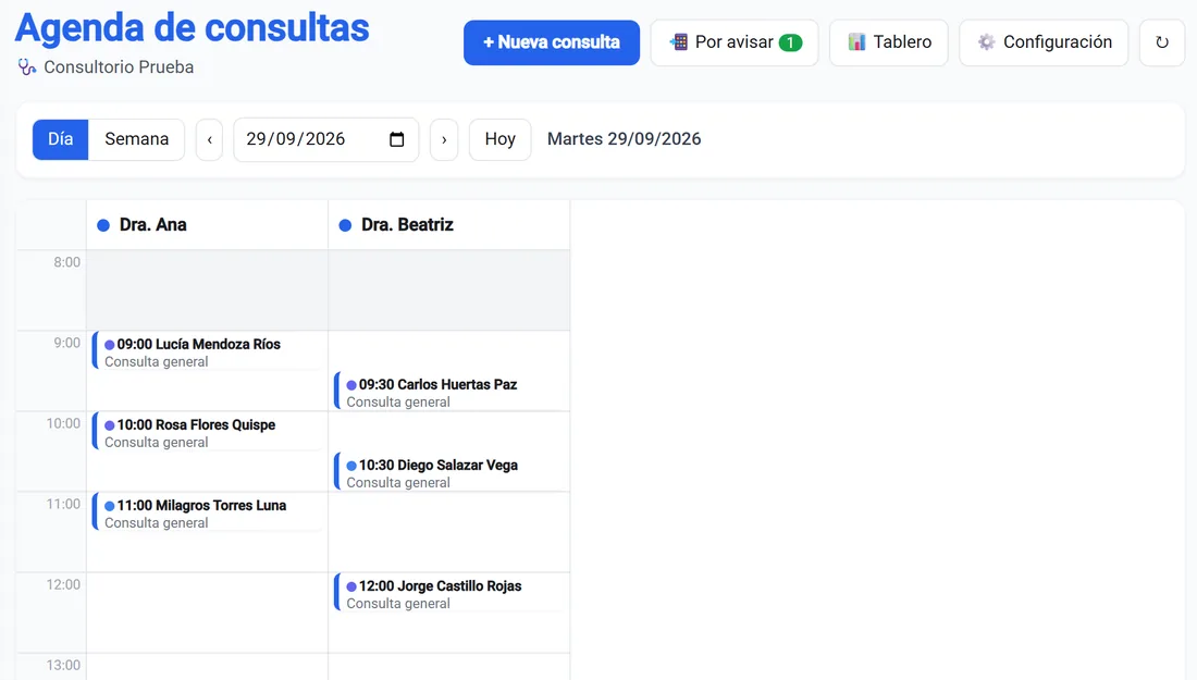 Agenda de consultas por profesional