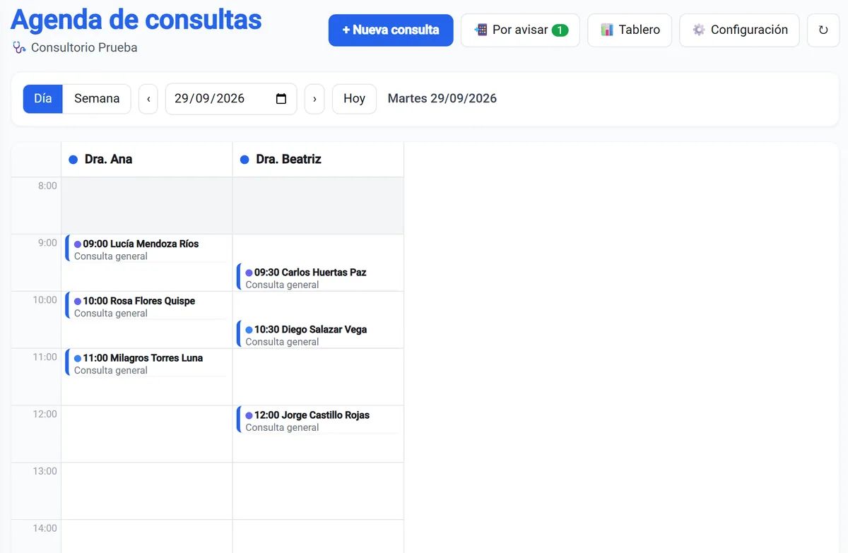 Tablero de citas por profesional